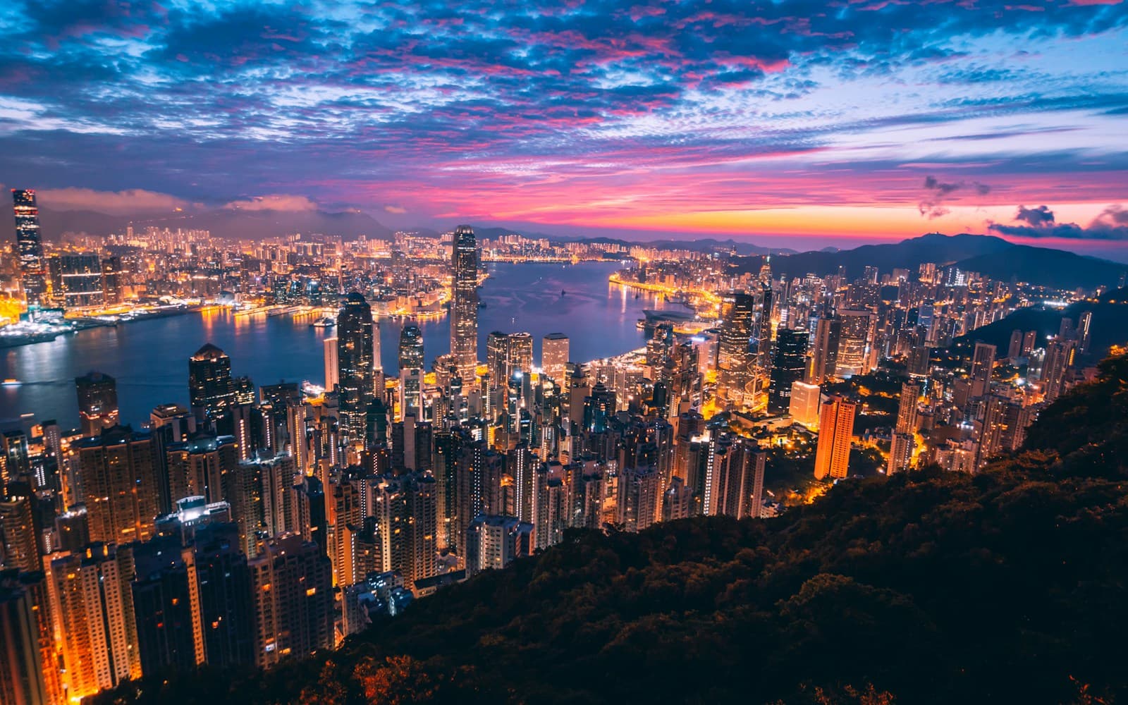 Hong Kong skyline and Victoria Harbour seen from above the dense urban waterfront.
